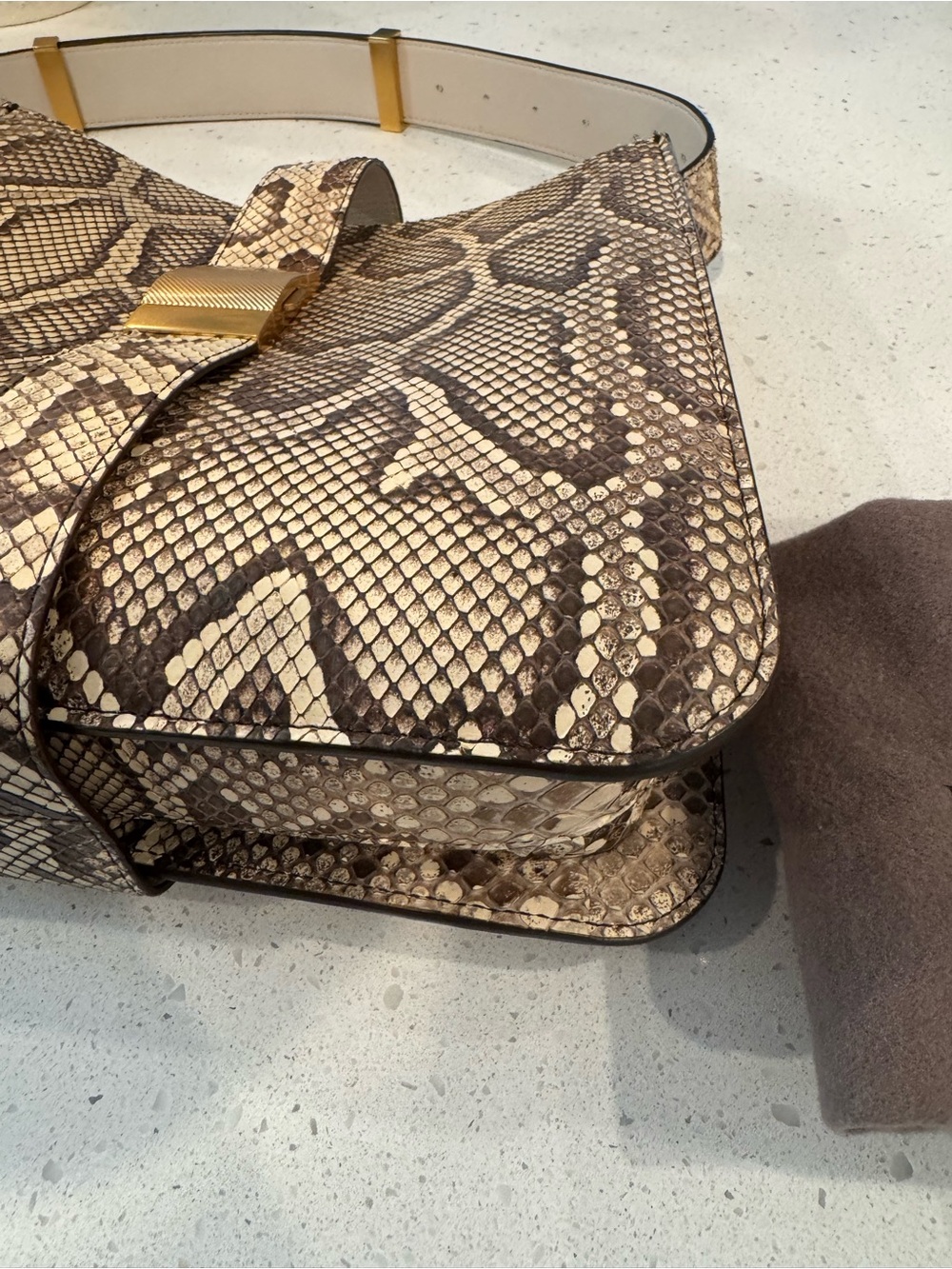 Bottega Veneta Python Marie bag - Picture 7 of 14